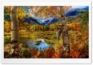 Perfect Autumn Scenery Ultra HD Wallpaper for 4K UHD Widescreen desktop, tablet & smartphone