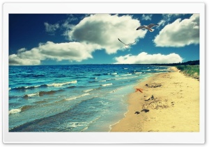 Perfect Ocean Beach - Birds Ultra HD Wallpaper for 4K UHD Widescreen desktop, tablet & smartphone