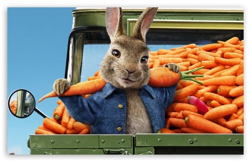Peter Rabbit 2 The Runaway Movie UltraHD Wallpaper for UHD 16:9 ; HD 16:9 ; UltraWide 21:9 24:10 32:9 32:10 ; Widescreen 16:10 ; Tablet 1:1 ; Dual 16:10 16:9 ;