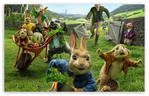 Peter Rabbit 2 Thomas McGregor Garden Chase Animals UltraHD Wallpaper for UHD 16:9 ; HD 16:9 ; UltraWide 21:9 24:10 ; Widescreen 16:10 ; Tablet 1:1 ;