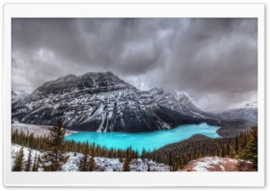 Peyto Lake, Canadian Rockies, Banff National Park Ultra HD Wallpaper for 4K UHD Widescreen desktop, tablet & smartphone
