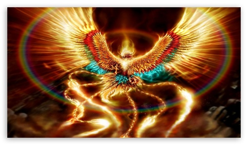 Mythical phoenix HD wallpapers  Pxfuel