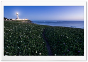 Pigeon Point Lighthouse Ultra HD Wallpaper for 4K UHD Widescreen desktop, tablet & smartphone