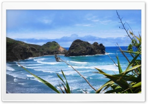 Piha Beach, New Zealand Ultra HD Wallpaper for 4K UHD Widescreen desktop, tablet & smartphone