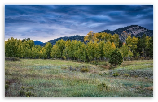 Pike National Forest, Colorado, United States UltraHD Wallpaper for Wide 16:10 5:3 Widescreen WHXGA WQXGA WUXGA WXGA WGA ; UltraWide 21:9 ; 8K UHD TV 16:9 Ultra High Definition 2160p 1440p 1080p 900p 720p ; Standard 4:3 5:4 3:2 Fullscreen UXGA XGA SVGA QSXGA SXGA DVGA HVGA HQVGA ( Apple PowerBook G4 iPhone 4 3G 3GS iPod Touch ) ; Smartphone 16:9 3:2 5:3 2160p 1440p 1080p 900p 720p DVGA HVGA HQVGA ( Apple PowerBook G4 iPhone 4 3G 3GS iPod Touch ) WGA ; Tablet 1:1 ; iPad 1/2/Mini ; Mobile 4:3 5:3 3:2 16:9 5:4 - UXGA XGA SVGA WGA DVGA HVGA HQVGA ( Apple PowerBook G4 iPhone 4 3G 3GS iPod Touch ) 2160p 1440p 1080p 900p 720p QSXGA SXGA ; Dual 16:10 5:3 16:9 4:3 5:4 3:2 WHXGA WQXGA WUXGA WXGA WGA 2160p 1440p 1080p 900p 720p UXGA XGA SVGA QSXGA SXGA DVGA HVGA HQVGA ( Apple PowerBook G4 iPhone 4 3G 3GS iPod Touch ) ;