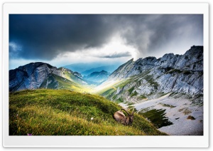 Pilatus mountain, Switzerland Ultra HD Wallpaper for 4K UHD Widescreen desktop, tablet & smartphone