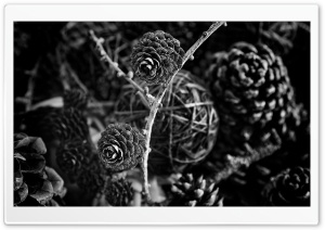 Pine Cones Decorations Black and White Ultra HD Wallpaper for 4K UHD Widescreen desktop, tablet & smartphone