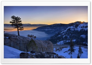 Pine Tree At Sunrise Above A Foggy Donner Lake In California Ultra HD Wallpaper for 4K UHD Widescreen desktop, tablet & smartphone
