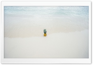 Pineapple Summer Ultra HD Wallpaper for 4K UHD Widescreen desktop, tablet & smartphone