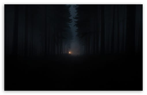Pines Forest during a Foggy Night UltraHD Wallpaper for UHD 16:9 ; HD 16:9 ; UltraWide 21:9 24:10 32:9 32:10 ; Widescreen 16:10 ; Fullscreen 3:2 ; Tablet 1:1 ; Mobile 9:16 9:19.5 9:20 9:21 9:22 ; Dual 16:10 16:9 ;