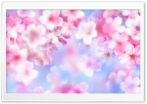Pink Blossom Background Ultra HD Wallpaper for 4K UHD Widescreen desktop, tablet & smartphone