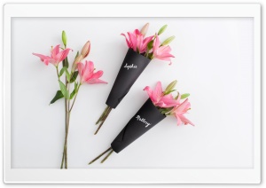Pink Lilies Flowers Ultra HD Wallpaper for 4K UHD Widescreen desktop, tablet & smartphone