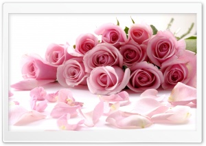 Pink Roses Bouquet Ultra HD Wallpaper for 4K UHD Widescreen desktop, tablet & smartphone
