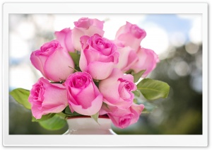 Pink Roses Buds Ultra HD Wallpaper for 4K UHD Widescreen desktop, tablet & smartphone