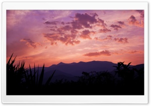 Pink Skies Ultra HD Wallpaper for 4K UHD Widescreen desktop, tablet & smartphone