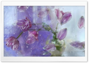Pink Tulips Through A Window Ultra HD Wallpaper for 4K UHD Widescreen desktop, tablet & smartphone