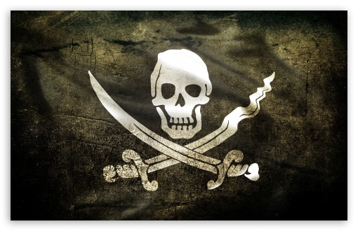 Pirate Flag Pictures  Download Free Images on Unsplash