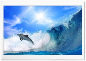 Playing Dolphin Ultra HD Wallpaper for 4K UHD Widescreen desktop, tablet & smartphone