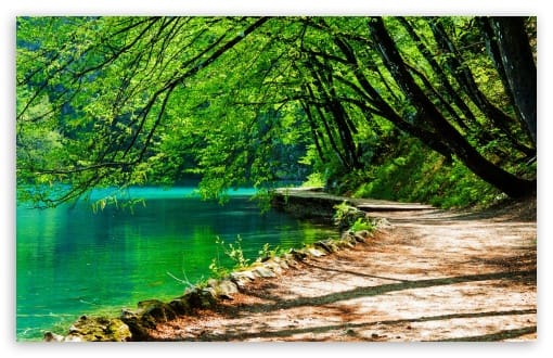 Plitvice Lakes National Park Croatia UltraHD Wallpaper for UHD 16:9 ; HD 16:9 ; UltraWide 21:9 24:10 32:9 32:10 ; Widescreen 16:10 ; Tablet 1:1 ; Dual 16:10 16:9 ;