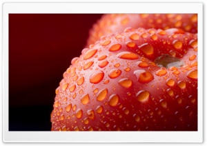Plums Macro Ultra HD Wallpaper for 4K UHD Widescreen desktop, tablet & smartphone