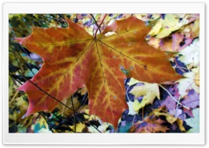 POD1 4K UHD Wallpaper for Widescreen and UltraWide Desktop, UltraHD TV, Smartphone, Tablet