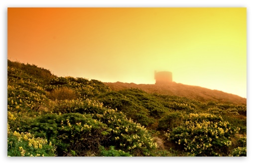 Point Reyes In The Fog UltraHD Wallpaper for HD 16:9 ; Widescreen 16:10 5:3 ; Fullscreen 4:3 5:4 3:2 ; Tablet 1:1 ; Mobile 3:5 3:4 ; Dual 16:10 5:3 16:9 4:3 5:4 ;