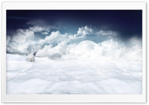 Polar Bear Ultra HD Wallpaper for 4K UHD Widescreen desktop, tablet & smartphone