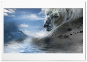 Polar Bear Water Ultra HD Wallpaper for 4K UHD Widescreen desktop, tablet & smartphone