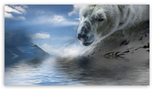 Polar Bear Water UltraHD Wallpaper for 8K UHD TV 16:9 Ultra High Definition 2160p 1440p 1080p 900p 720p ; Mobile 16:9 - 2160p 1440p 1080p 900p 720p ;