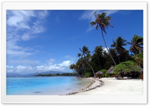 Polynesian Ultra HD Wallpaper for 4K UHD Widescreen desktop, tablet & smartphone