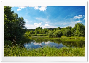 Pond In Summer Ultra HD Wallpaper for 4K UHD Widescreen desktop, tablet & smartphone