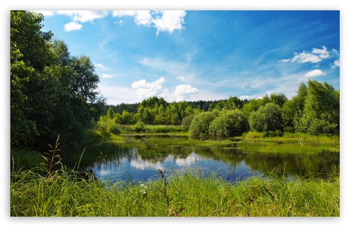 Pond In Summer UltraHD Wallpaper for Wide 16:10 5:3 Widescreen WHXGA WQXGA WUXGA WXGA WGA ; 8K UHD TV 16:9 Ultra High Definition 2160p 1440p 1080p 900p 720p ; Standard 4:3 5:4 3:2 Fullscreen UXGA XGA SVGA QSXGA SXGA DVGA HVGA HQVGA ( Apple PowerBook G4 iPhone 4 3G 3GS iPod Touch ) ; Tablet 1:1 ; iPad 1/2/Mini ; Mobile 4:3 5:3 3:2 16:9 5:4 - UXGA XGA SVGA WGA DVGA HVGA HQVGA ( Apple PowerBook G4 iPhone 4 3G 3GS iPod Touch ) 2160p 1440p 1080p 900p 720p QSXGA SXGA ; Dual 16:10 5:3 16:9 4:3 5:4 WHXGA WQXGA WUXGA WXGA WGA 2160p 1440p 1080p 900p 720p UXGA XGA SVGA QSXGA SXGA ;