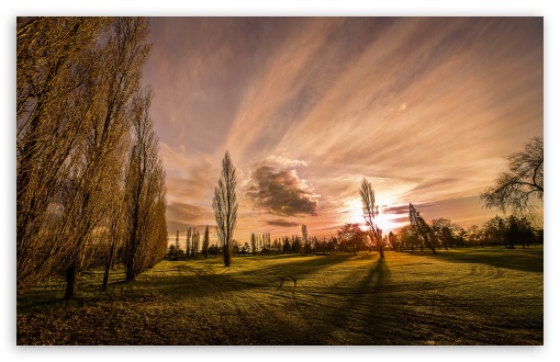 Poplars In The Sunset UltraHD Wallpaper for HD 16:9 ; Widescreen 16:10 5:3 ; Fullscreen 4:3 5:4 3:2 ; Tablet 1:1 ; Mobile 3:5 3:4 ;