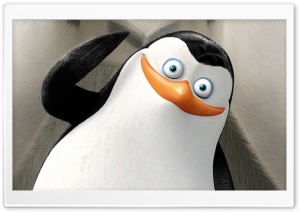 Private Penguins of Madagascar Ultra HD Wallpaper for 4K UHD Widescreen desktop, tablet & smartphone