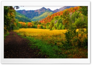Provo Canyon - Fall Colors Ultra HD Wallpaper for 4K UHD Widescreen desktop, tablet & smartphone