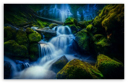 Proxy Falls, Washington UltraHD Wallpaper for UHD 16:9 ; HD 16:9 ; UltraWide 21:9 24:10 ; Widescreen 16:10 5:3 ; Fullscreen 4:3 5:4 3:2 ; Tablet 1:1 ; Mobile 9:16 9:19.5 9:20 9:21 9:22 10:16 2:3 3:5 3:4 ;