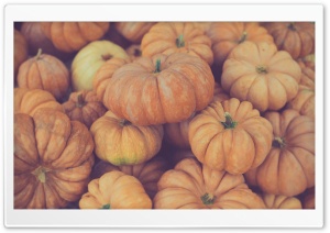 Pumpkins Ultra HD Wallpaper for 4K UHD Widescreen desktop, tablet & smartphone