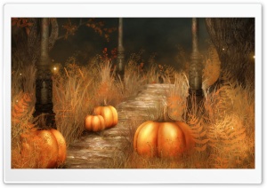 Pumpkins   Halloween Ultra HD Wallpaper for 4K UHD Widescreen desktop, tablet & smartphone