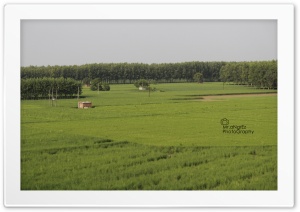 Punjab Ultra HD Wallpaper for 4K UHD Widescreen desktop, tablet & smartphone
