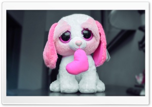 Puppy Love Ultra HD Wallpaper for 4K UHD Widescreen desktop, tablet & smartphone