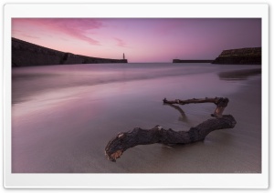 Purple Beach Ultra HD Wallpaper for 4K UHD Widescreen desktop, tablet & smartphone