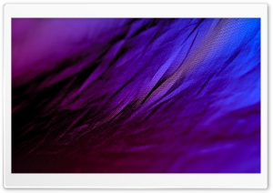 Purple Cloth Ultra HD Wallpaper for 4K UHD Widescreen desktop, tablet & smartphone