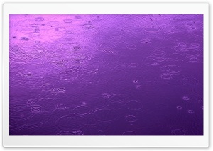 Purple Day Ultra HD Wallpaper for 4K UHD Widescreen desktop, tablet & smartphone