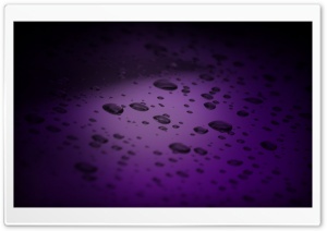 Purple Drops Ultra HD Wallpaper for 4K UHD Widescreen desktop, tablet & smartphone