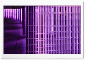 Purple Filter Ultra HD Wallpaper for 4K UHD Widescreen desktop, tablet & smartphone