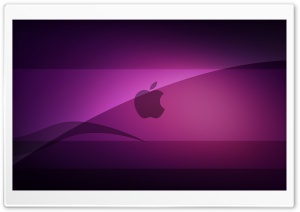 Purple Glass Ultra HD Wallpaper for 4K UHD Widescreen desktop, tablet & smartphone
