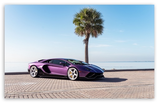 Purple Lamborghini Sports Car UltraHD Wallpaper for UHD 16:9 ; HD 16:9 ; UltraWide 21:9 24:10 32:9 ; Widescreen 16:10 5:3 ; Fullscreen 4:3 5:4 3:2 ; Tablet 1:1 ; Dual 5:3 16:9 4:3 5:4 3:2 ; Triple 16:10 5:3 16:9 4:3 5:4 3:2 ;