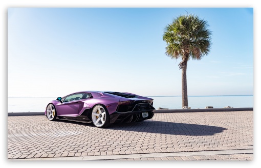 Purple Lamborghini Sports Car, Rear View UltraHD Wallpaper for UHD 16:9 ; HD 16:9 ; UltraWide 21:9 24:10 32:9 32:10 ; Widescreen 16:10 5:3 ; Fullscreen 4:3 5:4 3:2 ; Dual 16:10 5:3 16:9 4:3 5:4 3:2 ;