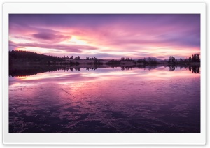 Purple Loch Rusky Ultra HD Wallpaper for 4K UHD Widescreen desktop, tablet & smartphone