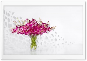 Purple Orchids in a Glass Vase Ultra HD Wallpaper for 4K UHD Widescreen desktop, tablet & smartphone